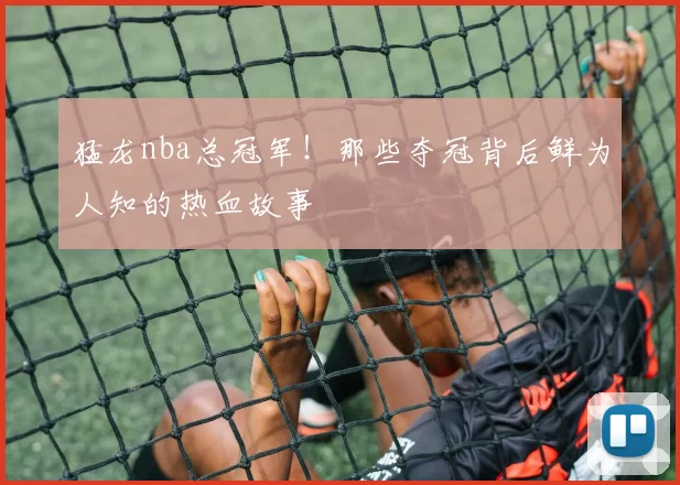 猛龙nba总冠军！那些夺冠背后鲜为人知的热血故事