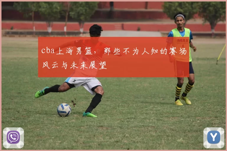 cba上海男篮,那些不为人知的赛场风云与未来展望