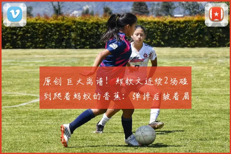 原创 巨大离谱!郑钦文连续2场碰到爬着蚂蚁的香蕉:弹掉后皱着眉食用