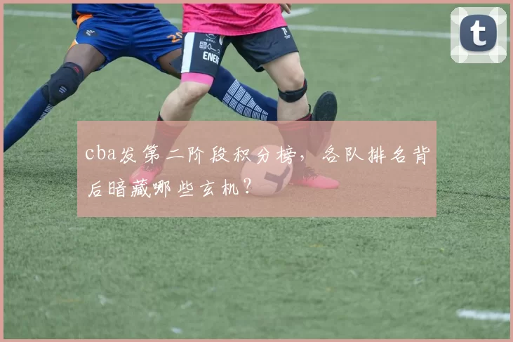 cba发第二阶段积分榜，各队排名背后暗藏哪些玄机？